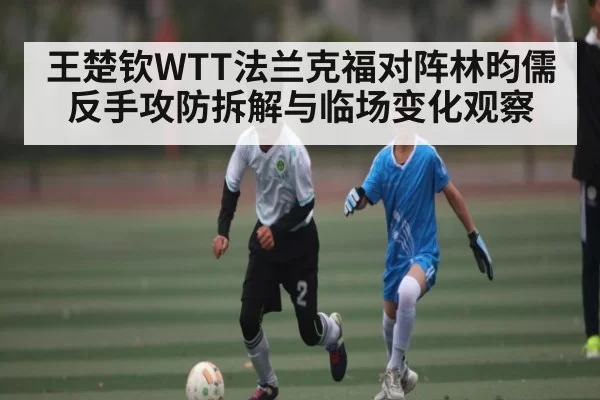 王楚钦WTT法兰克福对阵林昀儒反手攻防拆解与临场变化观察
